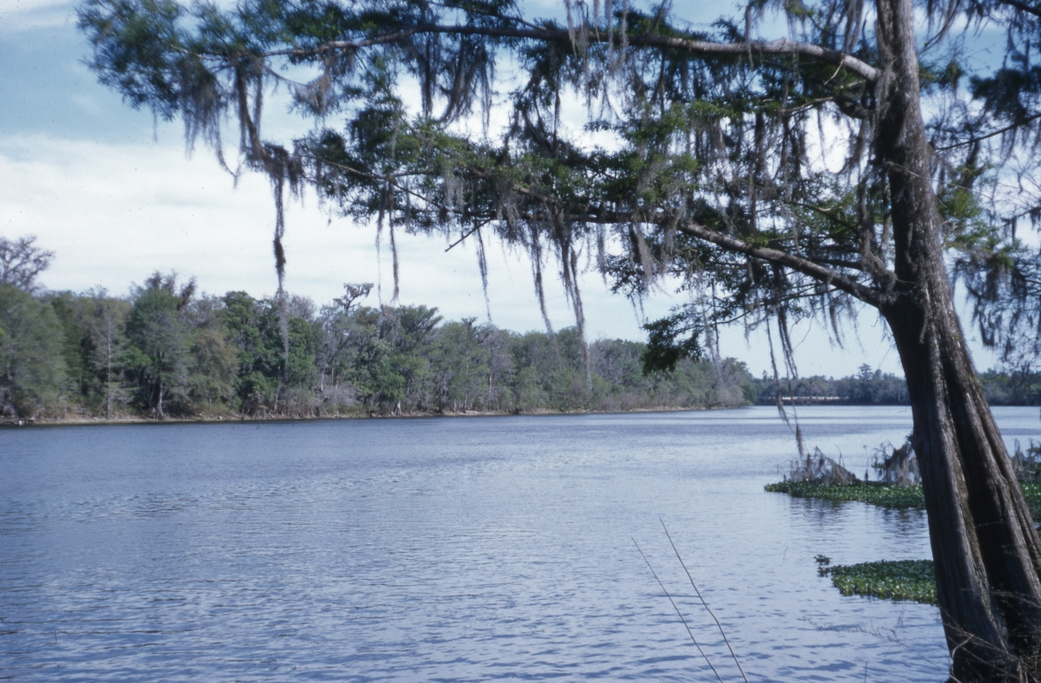 Nice 2 acre property. On River north of Old Town Florida