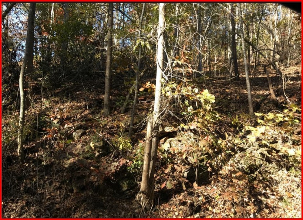 830 Dixon Drive, Gainesville GA 30501