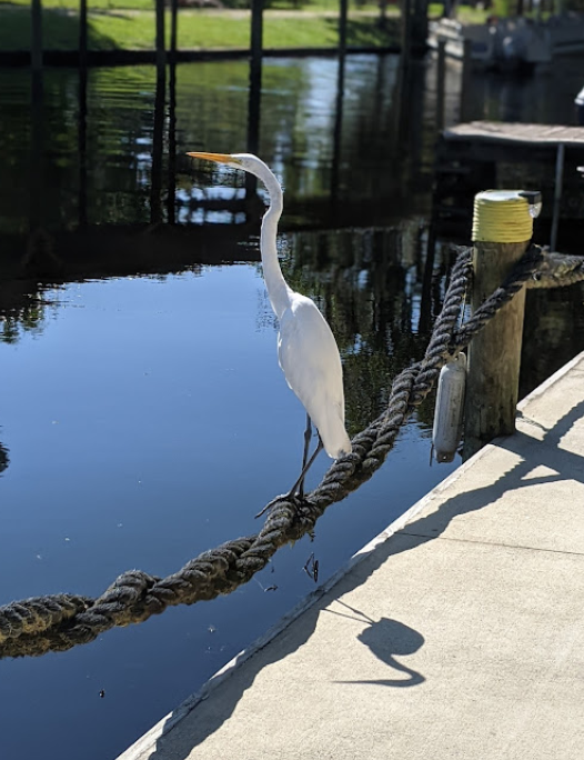 Georgia Boys Fish Camp
