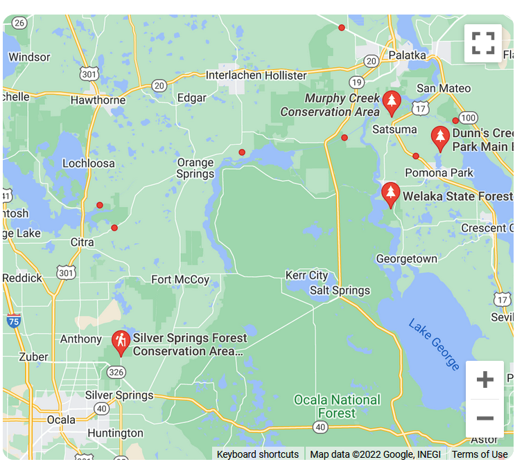 146 Boca Raton Satsuma FL Come Home to Paradise!! Beautiful